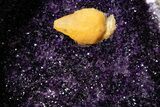 Egg-Shaped Amethyst Geode with Metal Stand - Spectacular Display! #351510-8